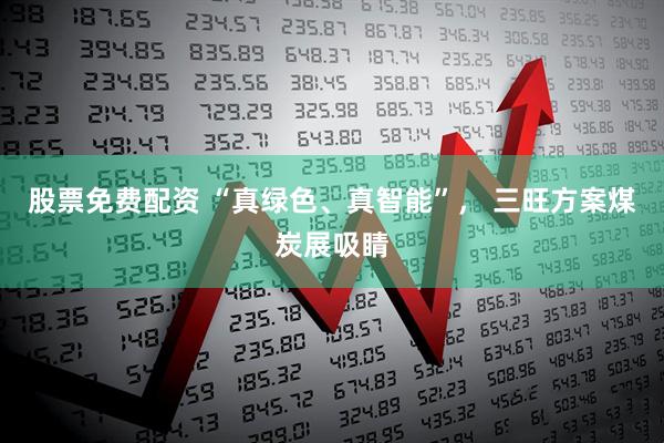 股票免费配资 “真绿色、真智能”， 三旺方案煤炭展吸睛